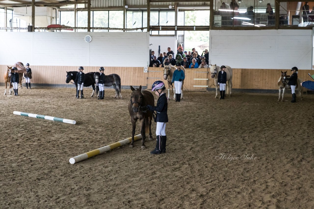 Bild 100 - Pony Akademie Turnier